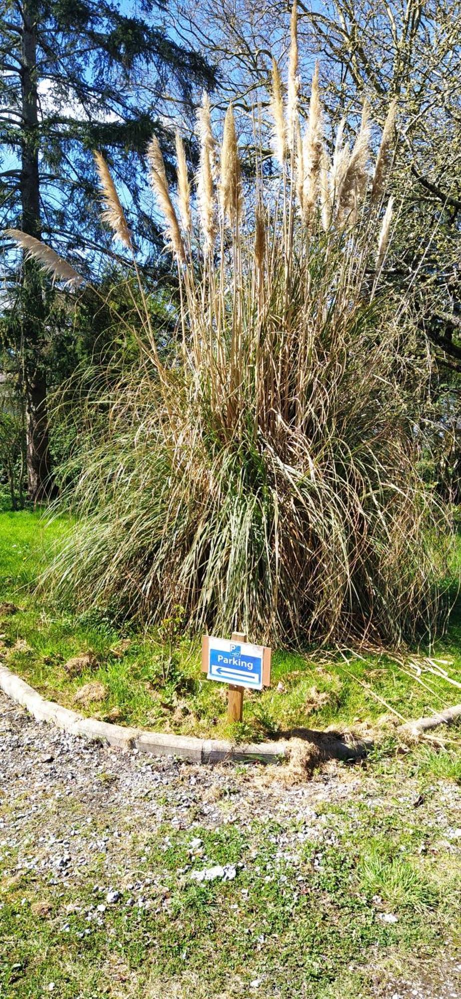 L'Ecureuil Gourmand, Chambre D'Hotes En Anjou Bleu Saint-Martin-du-Bois  Εξωτερικό φωτογραφία